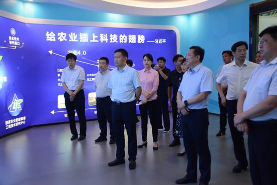 1592788352339396.jpg 6