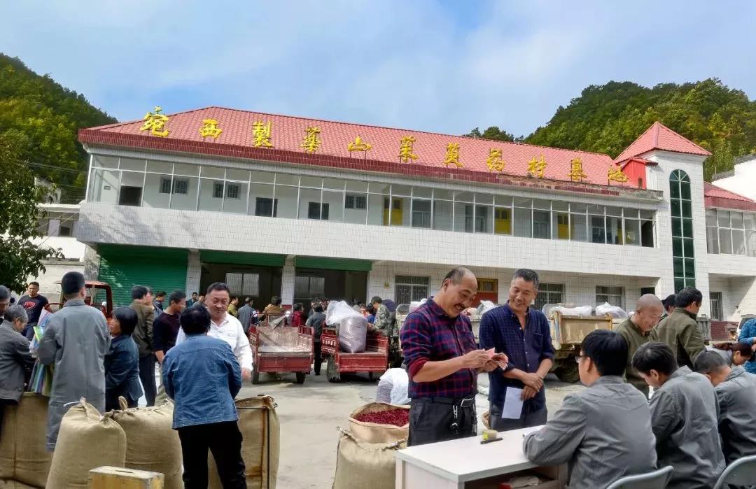 1638491721218449.jpg 仲景3.jpg