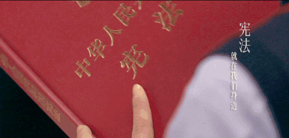 宪法日1.gif