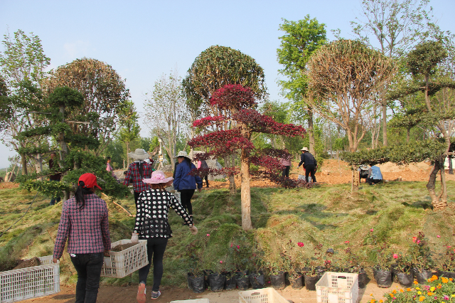 1653551610785118.png 图片4~2.png