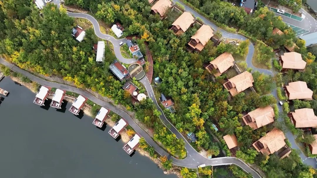 1710747737745834.png 图片3.png