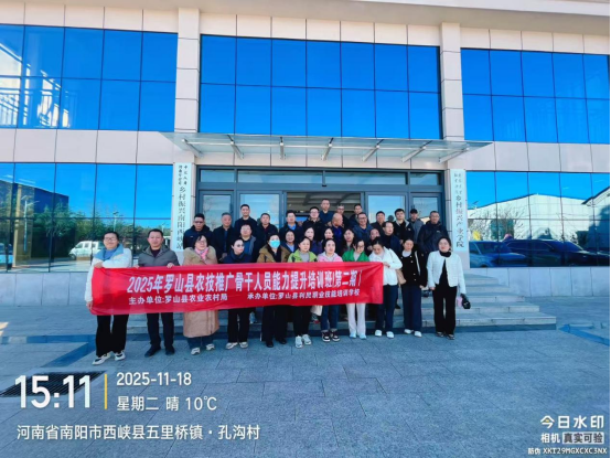 1764213017651722.png image.png